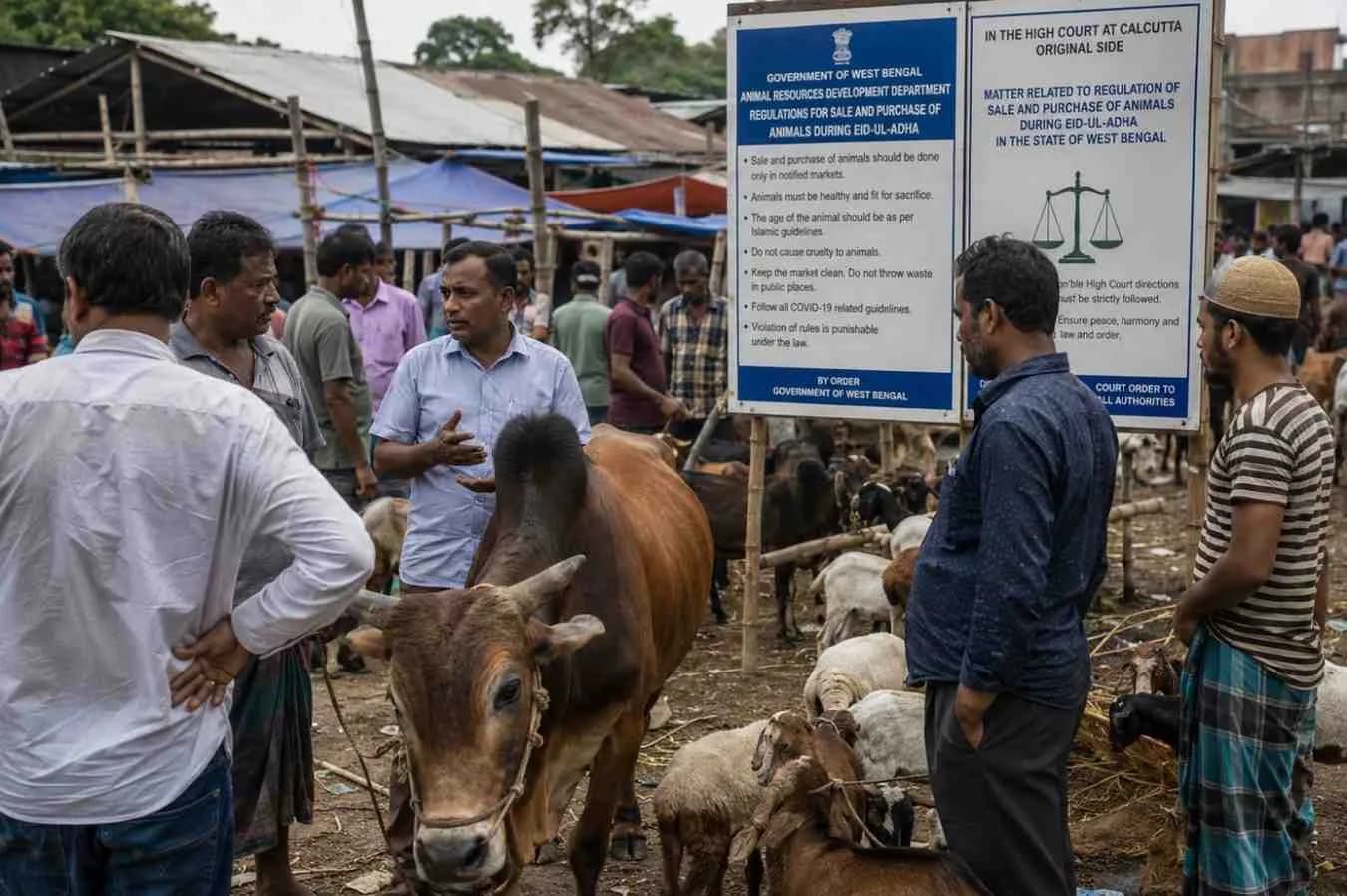Why Muslims Refused to Buy Cows in West Bengal Before Eid 2026